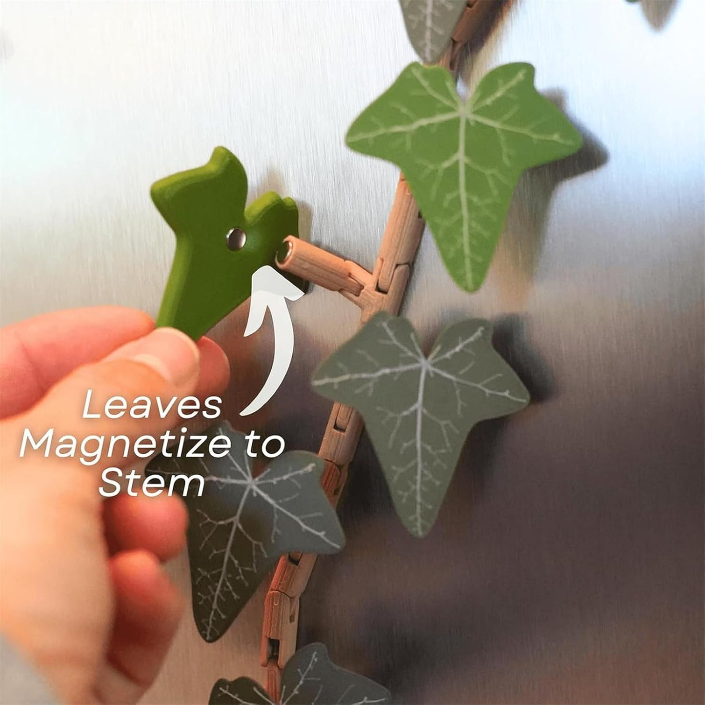3D Ivy Fridge Magnets