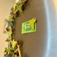 3D Ivy Fridge Magnets