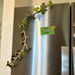 3D Ivy Fridge Magnets
